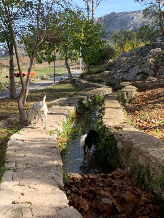 Villa Remedios Cuevas del Becerro Екстериор снимка
