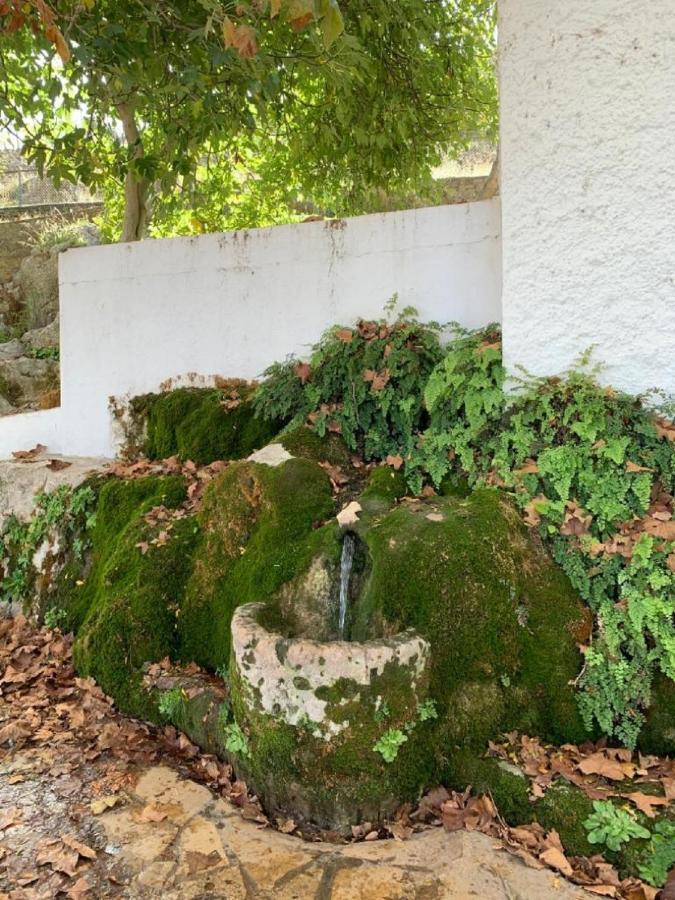 Villa Remedios Cuevas del Becerro Екстериор снимка